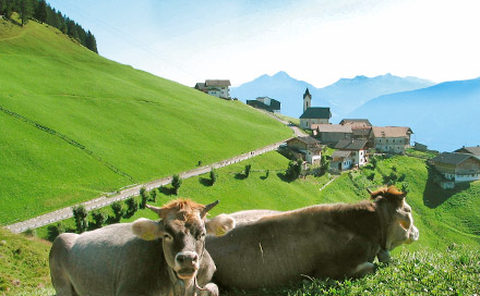 Urlaub auf dem Bauernhof